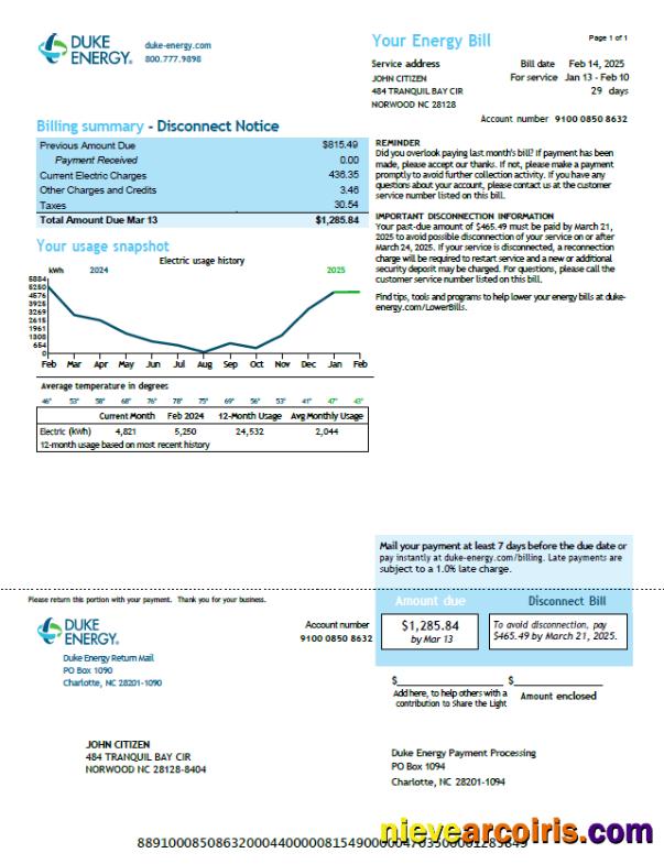 USA Duke Energy utility bill, version 2